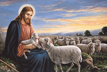 Shepherds With The Smell of Sheep